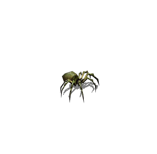 毒蜘蛛